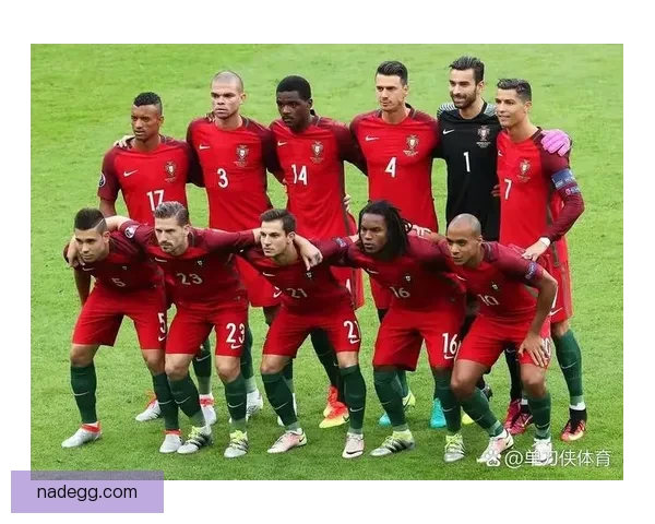 2012年欧洲杯葡萄牙对阵荷兰经典之战全景回顾战术与命运交织