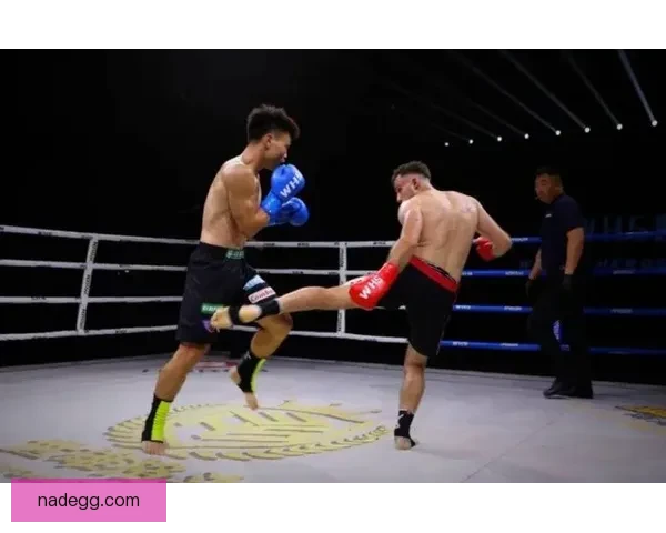 从擂台到规则中国散打与泰拳实战风格全面对决解析历史文化与胜负关键