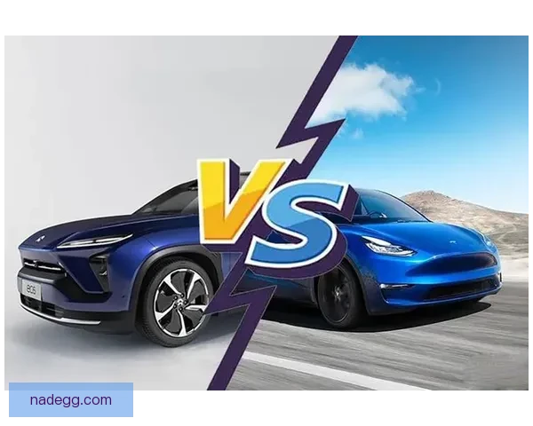 亚洲特别vs引领区域合作新格局共创未来发展新机遇与繁荣愿景图