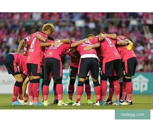 北海道主场迎战大阪樱花焦点对决前瞻与赛季走势全面分析